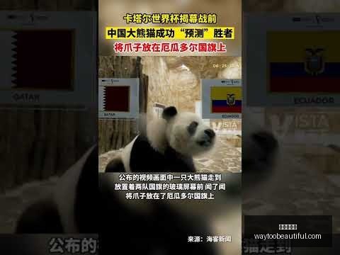 以色列加强,边境安全,增兵加沙地,九游会官网,九游会J9,九游会娱乐,九游会真人,九游会中心